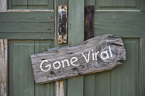 The Business Of Going Viral